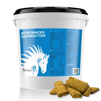Abbildung von Nutri Snacks Elektrolyten 3000 gram