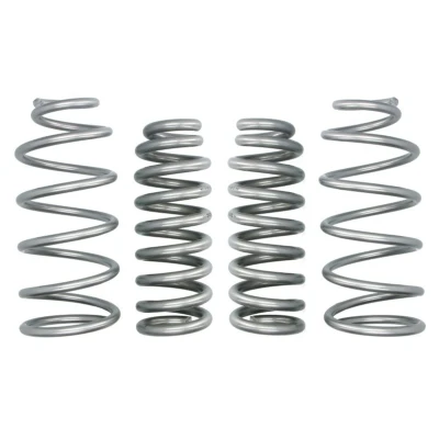 Abbildung von EIBACH Pro Lift Kit E30 46 006 01 22 Fahrwerksatz, Federn