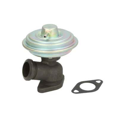 Abbildung von MAGNETI MARELLI 571822112104 AGR Ventil CITROËN: C5 II Estate, PEUGEOT: 607 Saloon