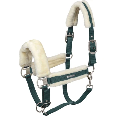 Abbildung von Waldhausen Halfter Soft Tannengrün Warmblut