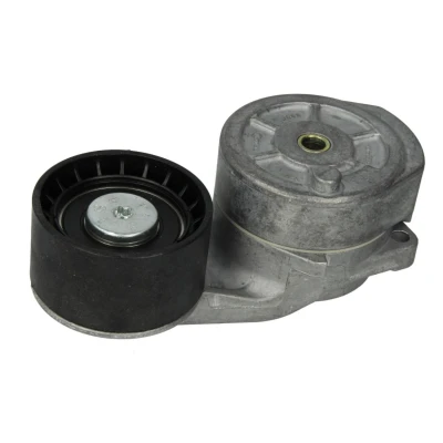 Abbildung von DAYCO APV2736 Riemenspanner