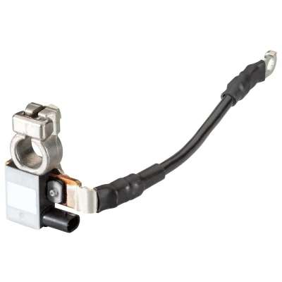 Abbildung von HELLA 6PK 010 181 701 Sensor, Batteriemanagement