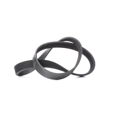 Abbildung von CONTITECH 6PK923 Keilrippenriemen 923 6 VOLKSWAGEN: TRANSPORTER 4 Bus, GOLF 3, Polo IV Hatchback, SEAT: Ibiza Alhambra I,