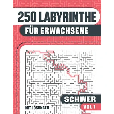 Abbildung von 250 Labyrinthe für Erwachsene: Buch mit schwere Erwachsene, Jugendliche und Senioren
