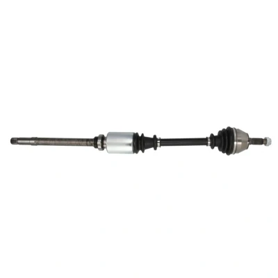 Abbildung von Antriebswelle PASCAL G2P019PC