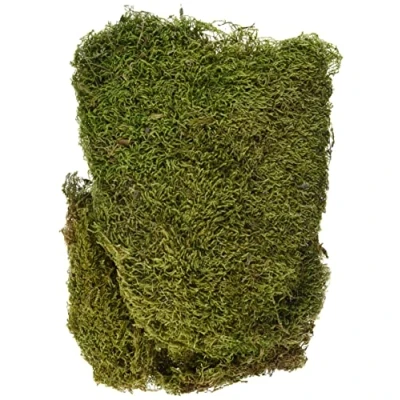 Abbildung von Rayher Plattenmoos, getrocknet, Btl. 100 g, Moos Deko Moos, 8508300