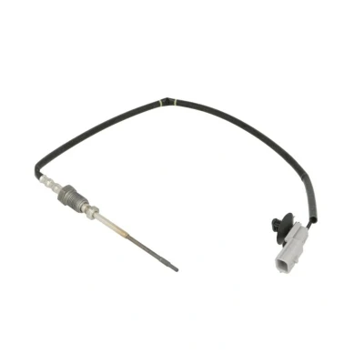 Abbildung von Sensor, Abgastemperatur MEAT &amp; DORIA 12193