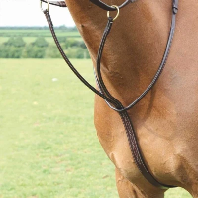 Abbildung von Salisbury Martingal Australian Nut Warmblut