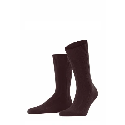 Abbildung von FALKE Herren Lhasa Rib M SO Wolle Kaschmir einfarbig 1 Paar Socken, Rot (Barolo 8596) neu umweltfreundlich, 39 42