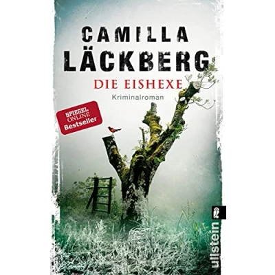 Abbildung von Die Eishexe: Kriminalroman skandinavische Krimi Serie der schwedischen Bestsellerautorin (Ein Falck Hedström Krimi, Band 10)