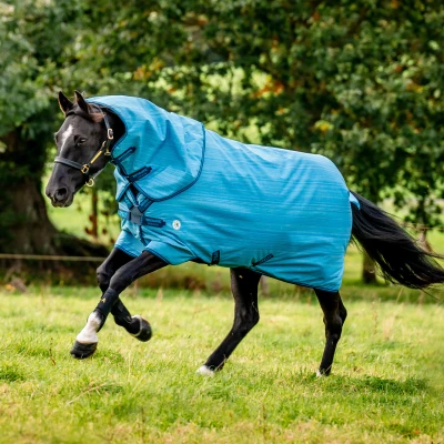 Abbildung von Amigo Turnout Hero 900 Revive Plus 50g Ozeanblau 140/191