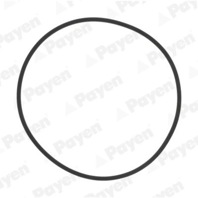 Abbildung von PAYEN HL5383 Dichtungssatz, Zylinderlaufbuchse