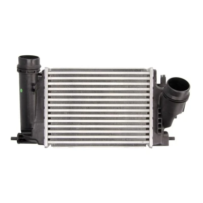 Abbildung von THERMOTEC DA1005TT Ladeluftkühler 282 X 217 62 mm NISSAN: Trail