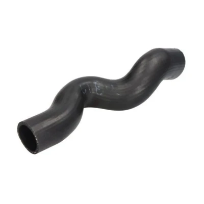 Abbildung von Ladeluftschlauch THERMOTEC DCX119TT