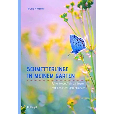 Abbildung von Schmetterlinge in meinem Garten: Falterfreundlich gärtnern mit den richtigen Pflanzen