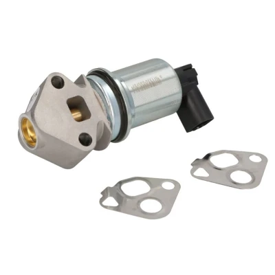 Abbildung von NGK 94072 AGR Ventil elektrisch mit Dichtungen VOLKSWAGEN: Polo IV Hatchback, V SKODA: Fabia 1 Combi, SEAT: Ibiza 3
