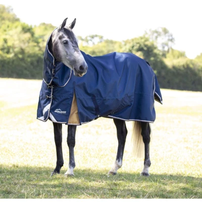 Abbildung von Highlander Plus Regendecke Lite Combo Navy 135/185