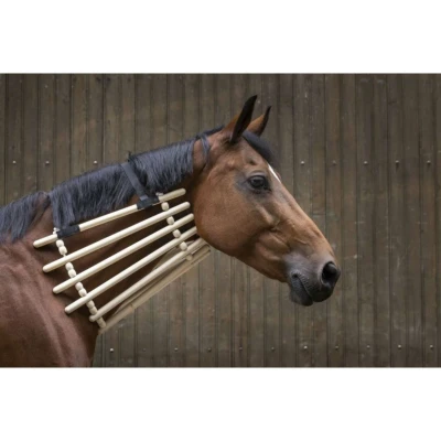 Abbildung von Hippotonic Halskragen
