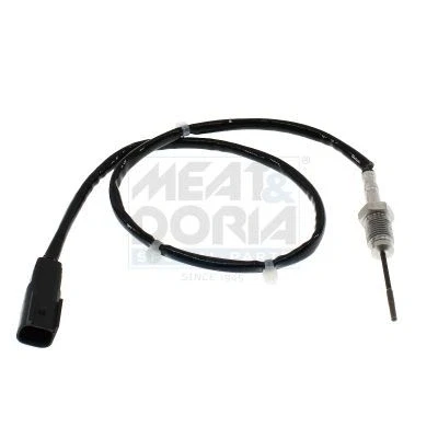 Abbildung von Sensor, Abgastemperatur MEAT &amp; DORIA 12794