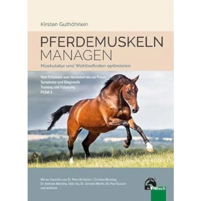 Abbildung von Pferdemuskeln managen: Muskeltraining Trainingsplanung Fütterung: Muskulatur und Wohlbefinden optimieren