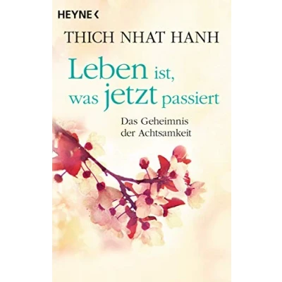 Abbildung von Leben ist, was jetzt passiert: Das Geheimnis der Achtsamkeit