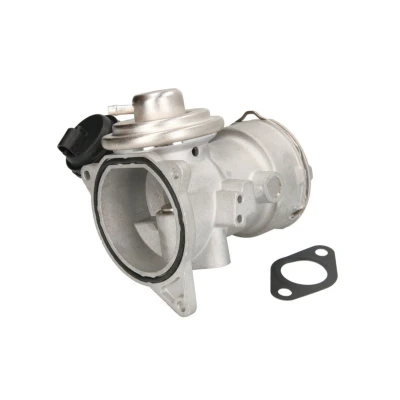 Abbildung von MAGNETI MARELLI 571822112149 AGR Ventil VOLKSWAGEN: Multivan 5 (7HM, Transporter Bus,