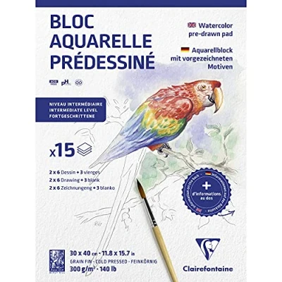 Abbildung von Clairefontaine 975725C Aquarellblock mit vorgezeichneten Motiven 15 Blatt (2 x 6 designs) 30x40 cm 300g, Tiere