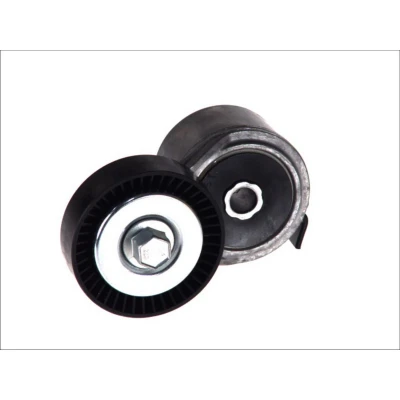 Abbildung von DAYCO APV2490 Riemenspanner