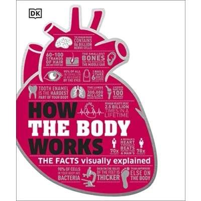 Abbildung von How The Body Works: Facts Simply Explained (DK Stuff Works)