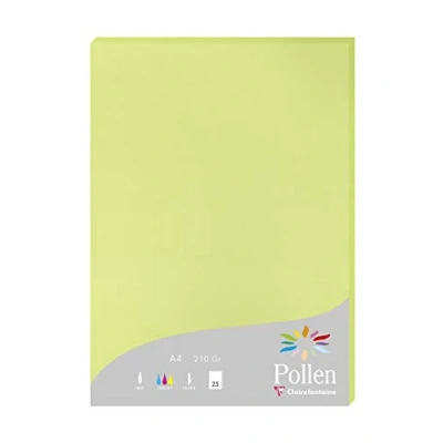 Abbildung von Clairefontaine 224205C Packung mit 25 Karten Pollen 210g, DIN A4, 21 x 29,7cm, Knospengrün
