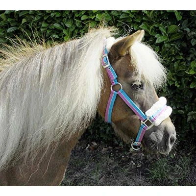 Abbildung von Rhinegold 323 turq Stripe shet Bright Striped Fur Trim Small Pony Halfter Turquoise Stripe, Shetland EU