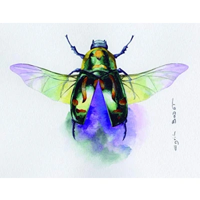 Abbildung von Clairefontaine 93422C Packung (mit 10 Bögen Aquarellpapier Etival, feinkörnig, 100% Zellulose, 50 x 76 cm, 300g, ideal für Nasstechniken) weiß