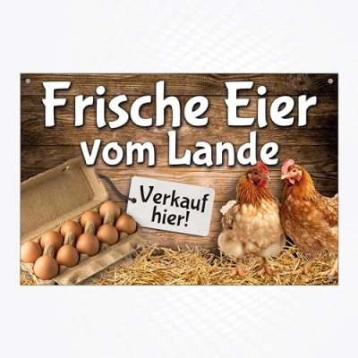 Abbildung von Hochwertiges Schild aus Alu Dibond mit UV Schutzlackierung &quot; FRISCHE EIER VOM LANDE 300 x 200 mm rechteckig Verkauf hier Hinweisschild farbig Lochbohrung