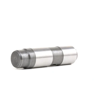 Abbildung von FEBI BILSTEIN 08688 Spanner, Steuerkette BMW: 3 Saloon, Compact, Coupe
