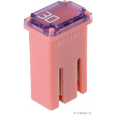 Abbildung von Sicherung HERTH+BUSS ELPARTS 50295355