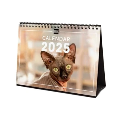 Abbildung von Finocam Bebilderter Tischkalender International 2025 Monatsansicht Januar bis Dezember (12 Monate) Cats