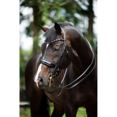 Abbildung von HB Showtime Double Bridle Special for You