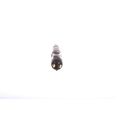 Abbildung von BOSCH 0 445 120 197 Einspritzdüse Common Rail mit Dichtring