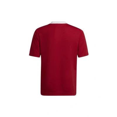 Abbildung von adidas Unisex Kinder Entrada 22 Jersey, Team Power Red 2, 15 16 Years