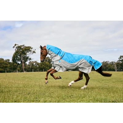 Abbildung von Weatherbeeta Fliegendecke Dual Shield Detach A Neck Blau/GrauVerkauft von Agradi