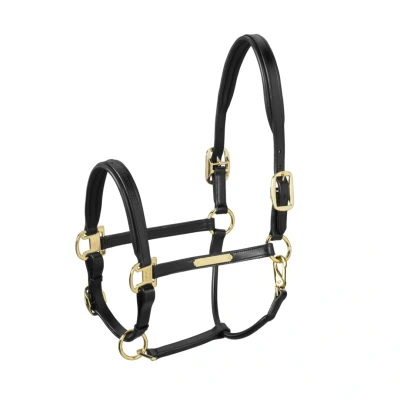Abbildung von Eskadron Halfter Elegance Leder Schwarz Pony