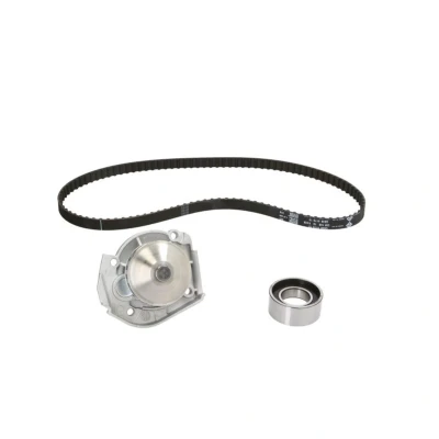 Abbildung von INA 530 0204 30 Wasserpumpe + Zahnriemensatz mit FIAT: Punto I Hatchback, Convertible, LANCIA: Y