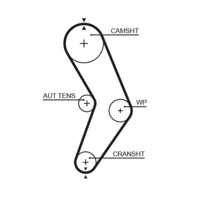 Abbildung von GATES FleetRunner Micro V Stretch Fit 5662XS Zahnriemen 96 914 17,3 Glasfaser, HNBR (Hydrierter Acryl Nitril Butadien Kautschuk) DACIA: Sandero I