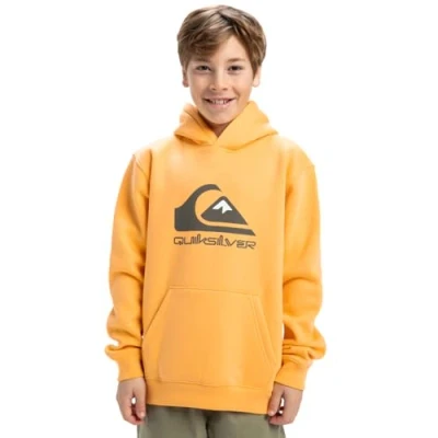 Abbildung von Quiksilver BIG LOGO Hoodie Youth Unisex Kapuzenpullover für Kinder, Größe: 164, Chamois