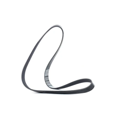 Abbildung von DAYCO 6PK1076 Keilrippenriemen 1076,0 6 VOLKSWAGEN: Golf 4, Polo V Hatchback, IV SKODA: Octavia 1 Combi, Fabia 2