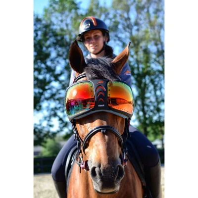 Abbildung von eQuick Brillengläser for eVysor Regenbogen One Size