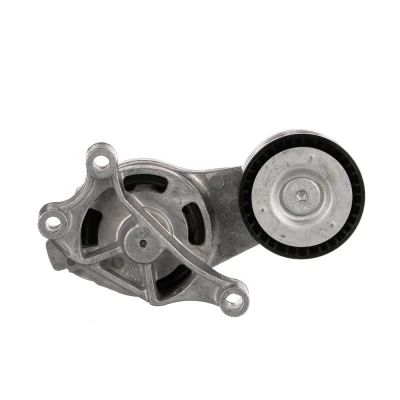 Abbildung von GATES FleetRunner Micro V Kit T39084 Spannrolle VOLKSWAGEN: GOLF 5, 6, Passat B6 Variant, SKODA: Octavia 2 Combi, SEAT: Altea