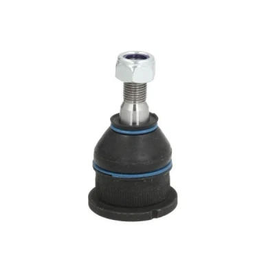 Abbildung von REINHOCH RH03 2009 Traggelenk beidseitig 14,2 RENAULT: LAGUNA 1