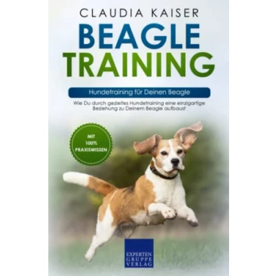 Abbildung von Beagle Training Hundetraining für Deinen Beagle: Wie Du durch gezieltes eine einzigartige Beziehung zu Deinem aufbaust