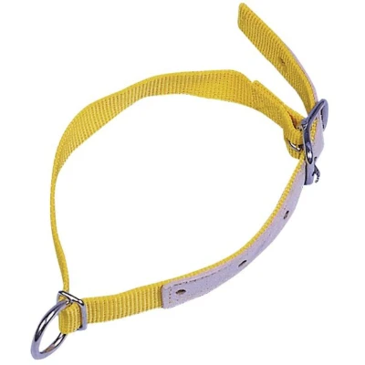 Abbildung von Kerbl Halsriemen f.Schafe, Gelb 60cm